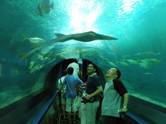 ocean life hall.jpg